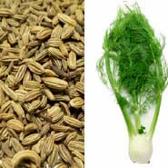 FENNEL_SEED_breast_firm_