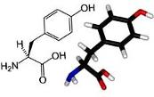 L-TYROSINE_breast_Firm_